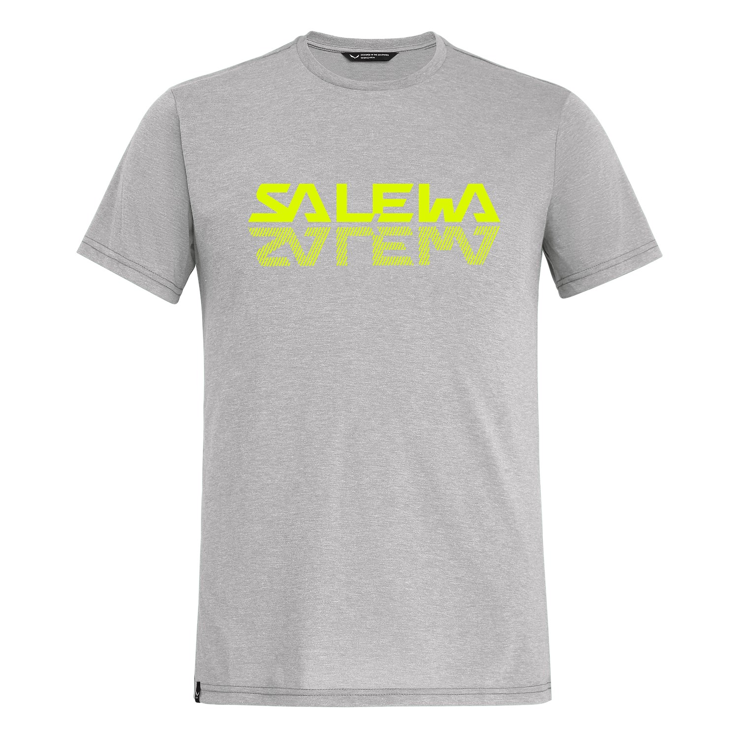 Salewa Reflection Dri-Release® Erkek T-Shirts Gri Türkiye 401526SAJ